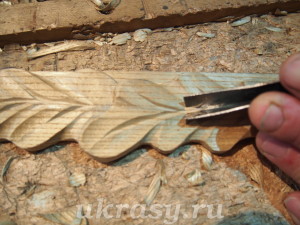 Дубовый лист из бархата амурского